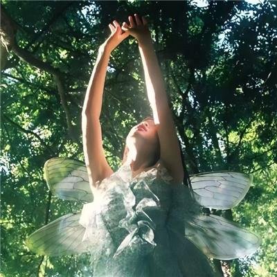 重生后,拯救我的傻儿子