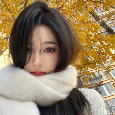 汪汪队立大功第六季